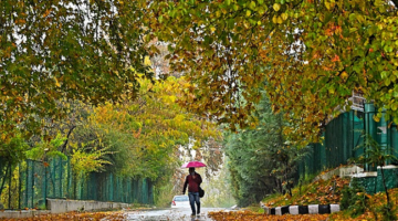 أجواء باردة تهبط درجات الحرارة مع أمطار متفرقة نهاية 2025